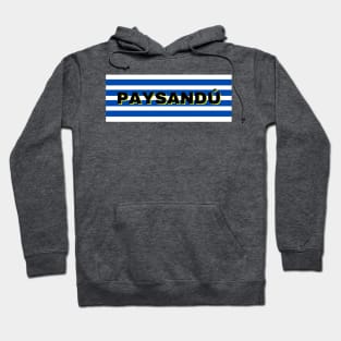 Paysandú City in Uruguay Flag Stripes Hoodie